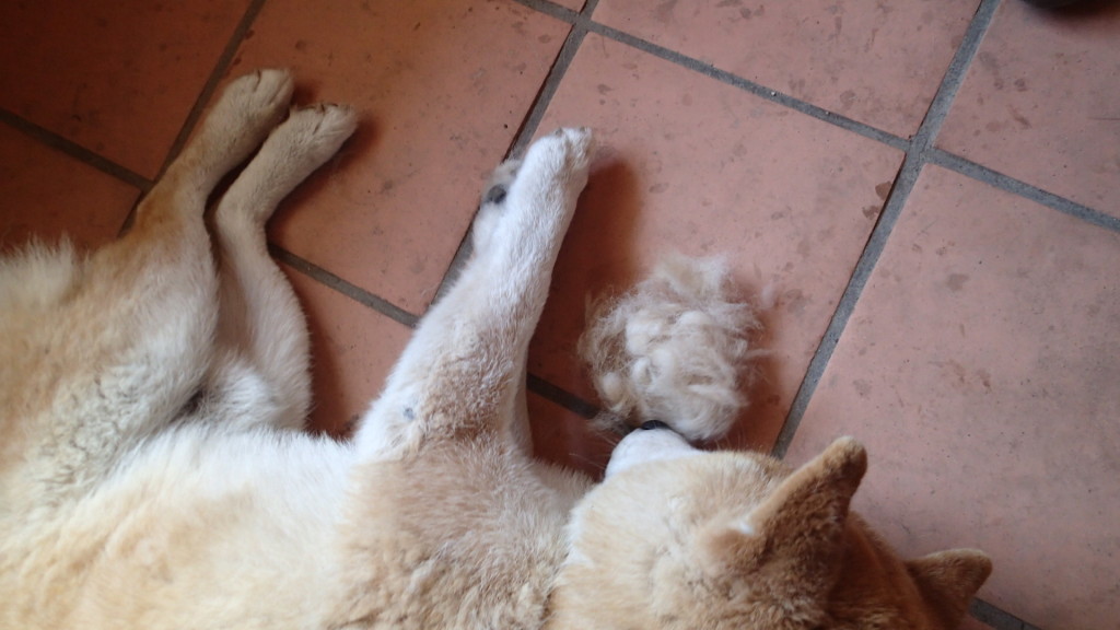 ちょっと触っただけでこんなに抜けます