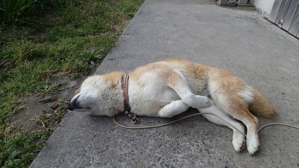 う～ん、今日は暖かいね！