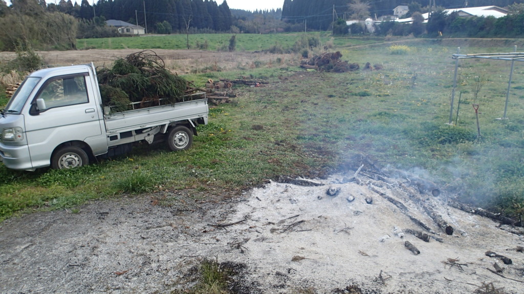 杉の葉の片付けしました。