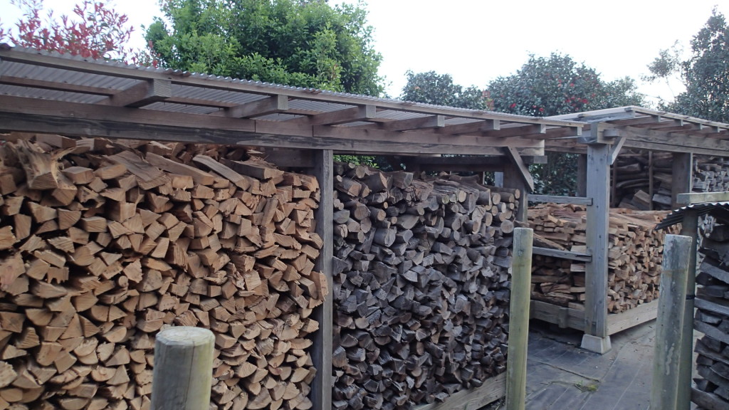 左側が先日、右奥が今回、約一年分です。