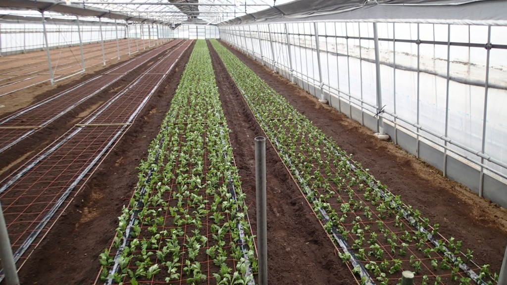 無難に2ベット終了です。