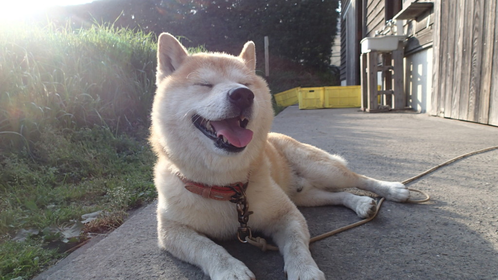 暑いとこうなります。