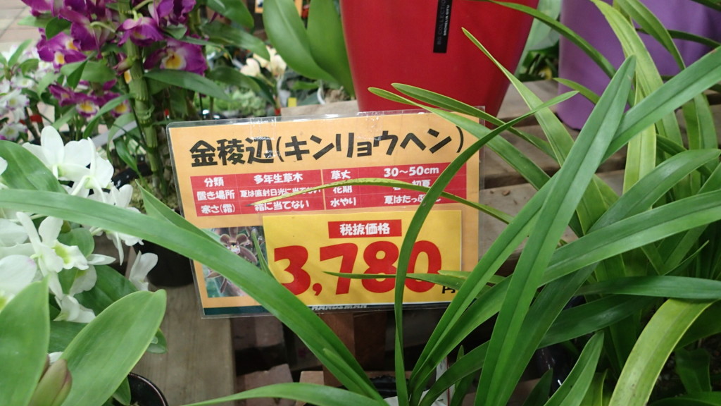 去年まではなかった金様、売れているようです。残り２個