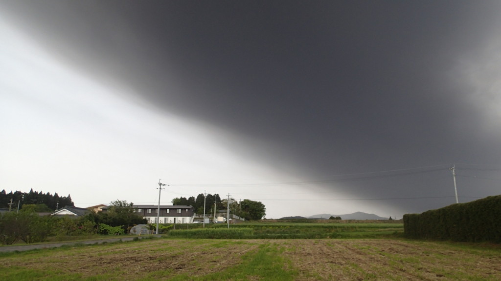 桜島の灰です。