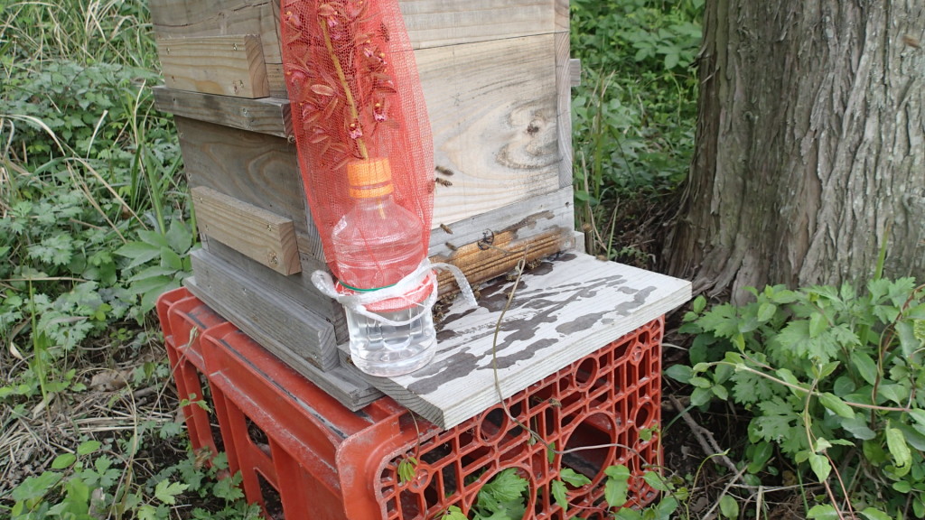 ほっとしましたよ!