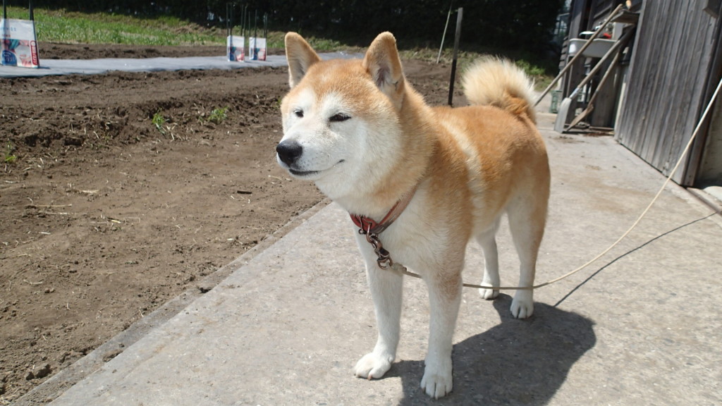 なんか気持ちよいです。