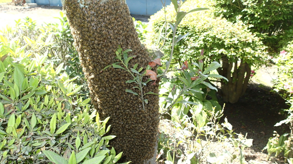 高さは問題ないんだけどなぁ～！