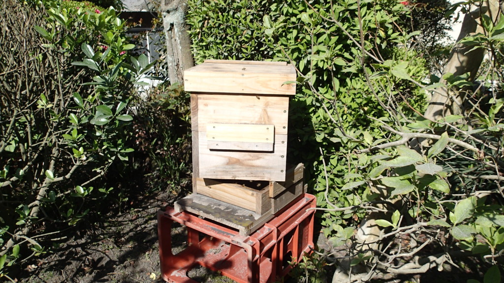 焦りました。でもなんとか一段落。