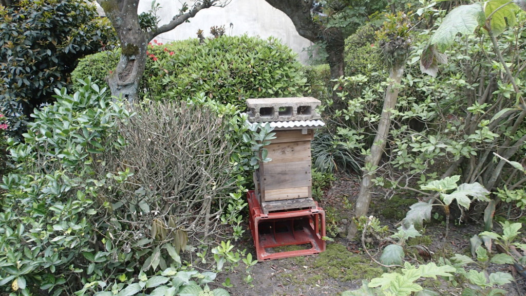 花粉の持ち込みを確認したら移動します。