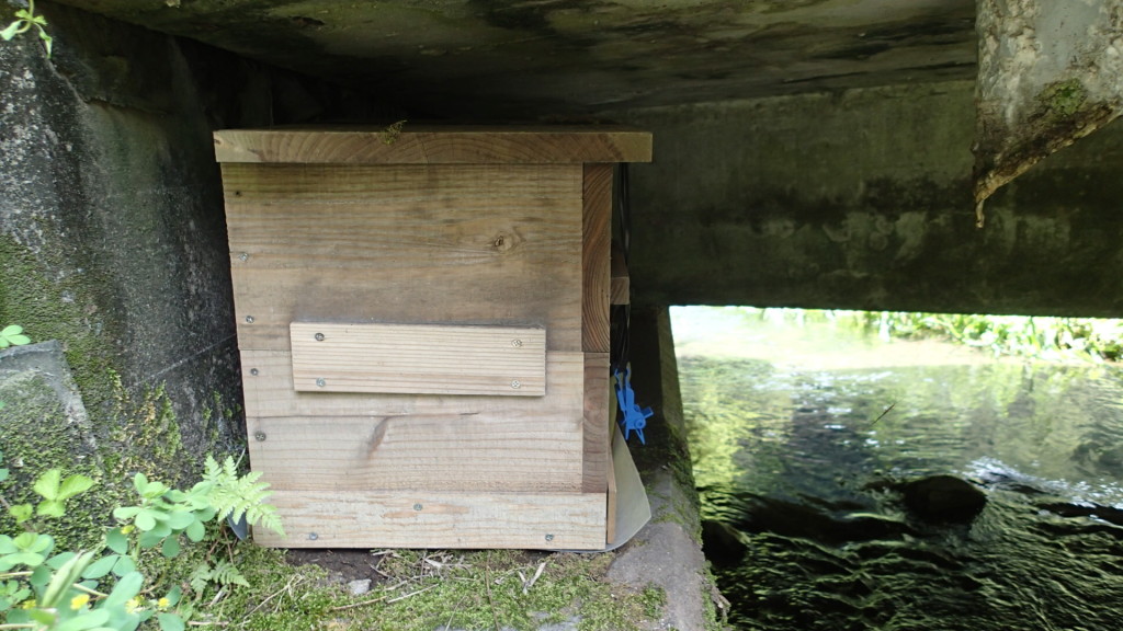 逆さ！巣門はどこ？