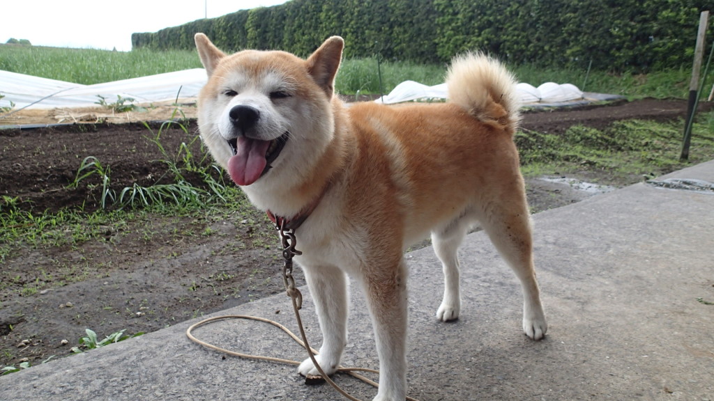 まだ恐くないよ!