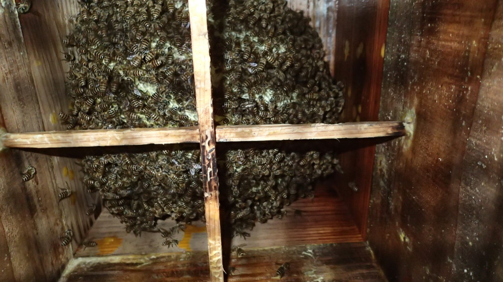 順調のようです。