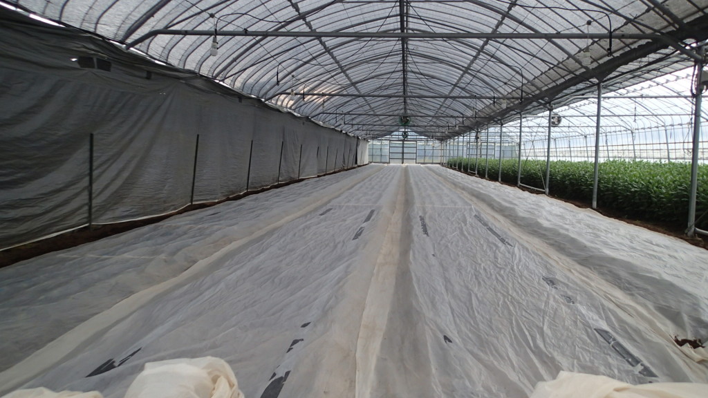 うまく遮光できますかねぇ～。