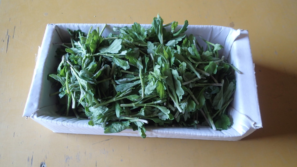 ほんの少し、500本、3万本に比べたら・・・