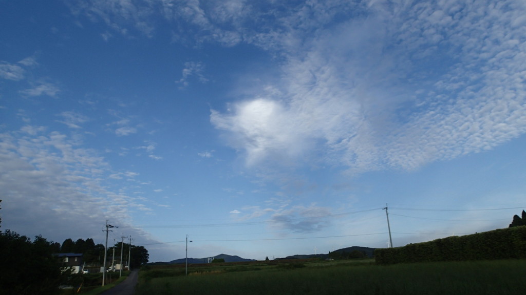 空の青がとてもきれいでした。朝一