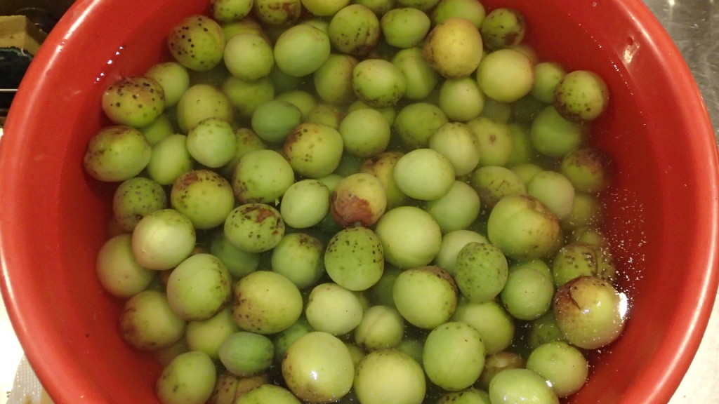 小さい実も自家製には良いもんです。