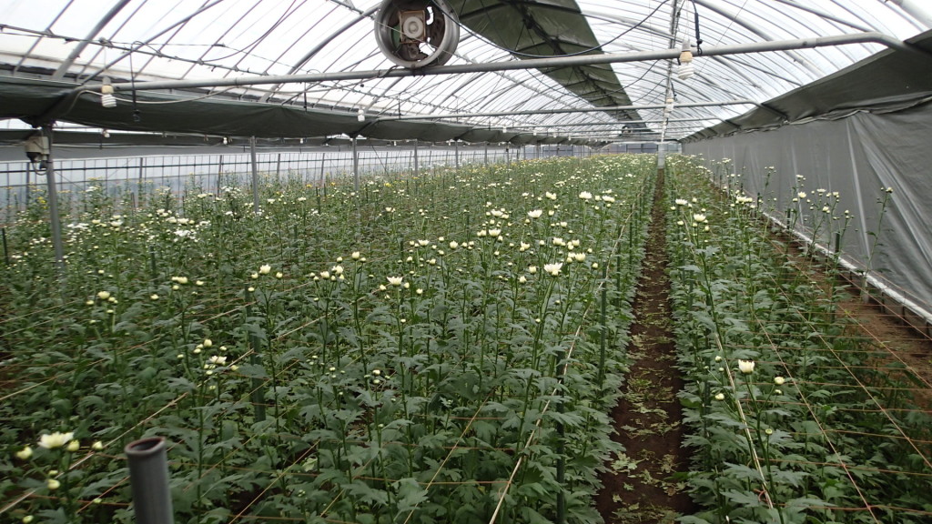 ほぼ終了です。