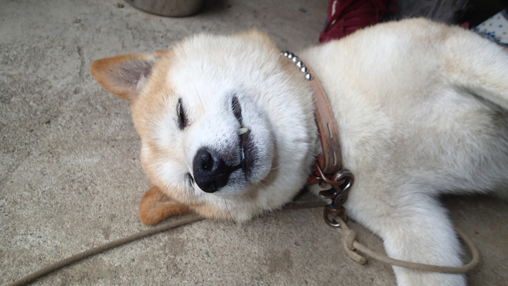 う～ん、うっとり！