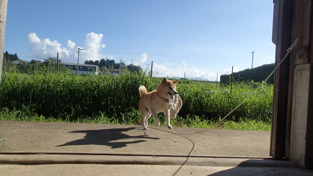 青い空も見てね。