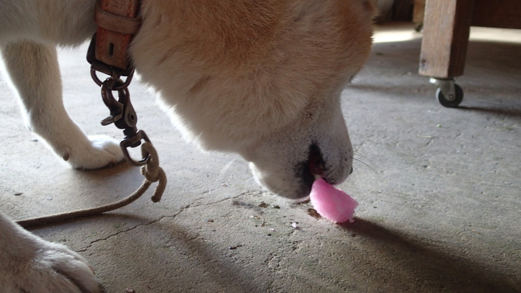 これは10時のおやつ、なんでしょう？冷たいよ！