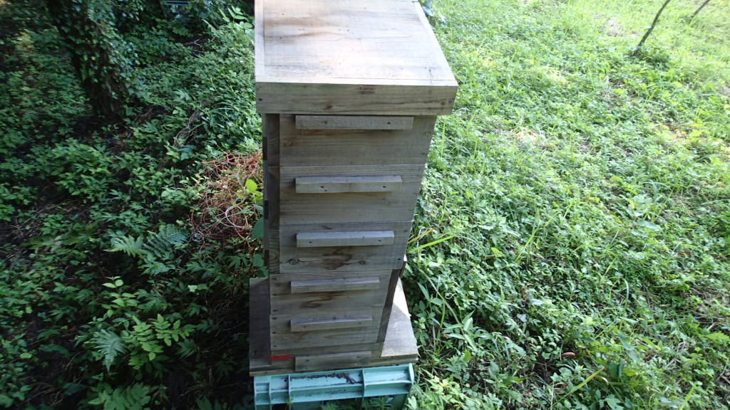 この巣箱から蜂蜜もらいました。切り離しの写真ピンボケ！