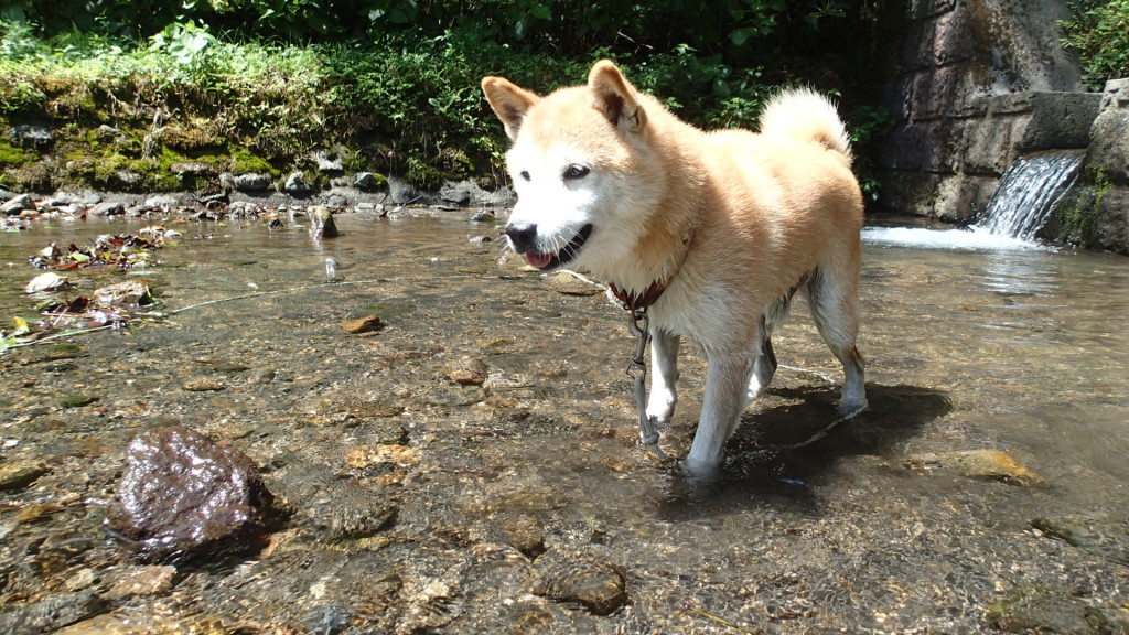 もっと遊んでね、