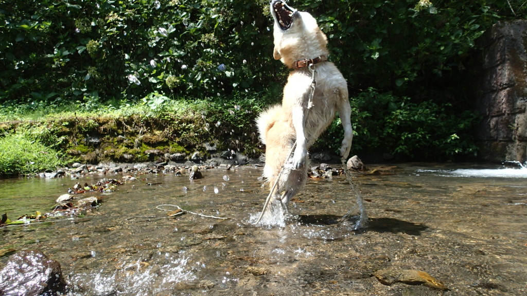 これぐらいは出来ます。