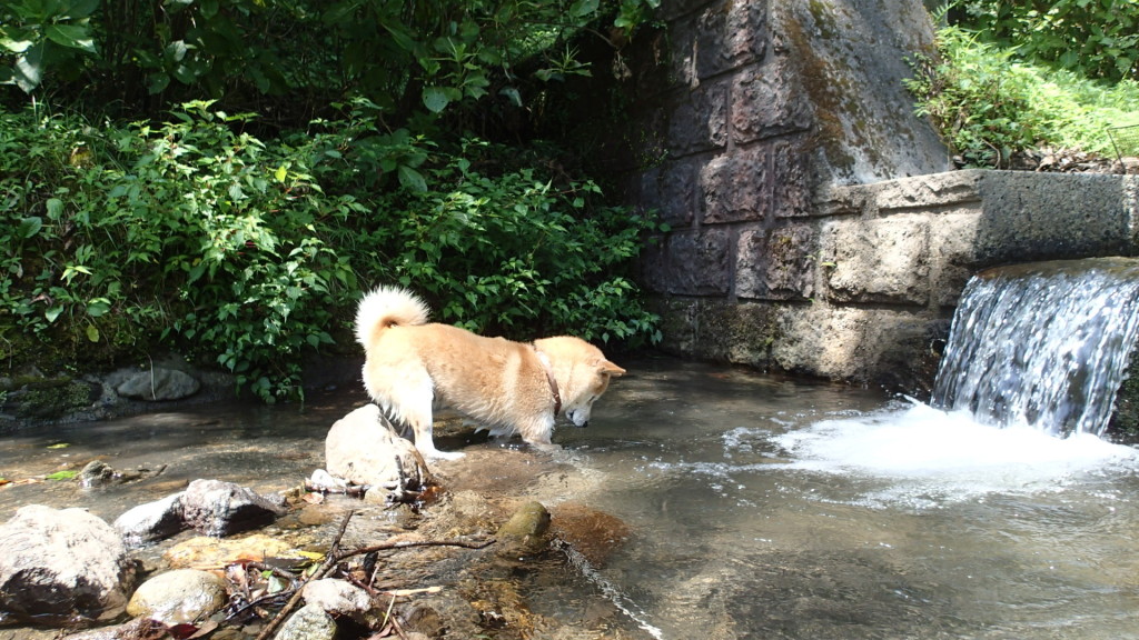 あ～、むりむり！