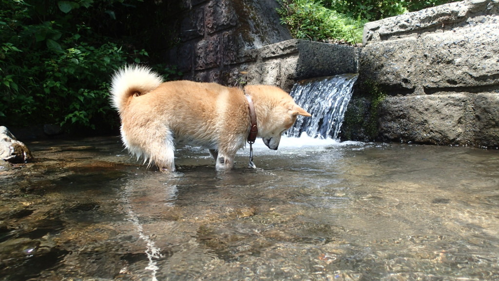 う～ん、深いんじゃない？！
