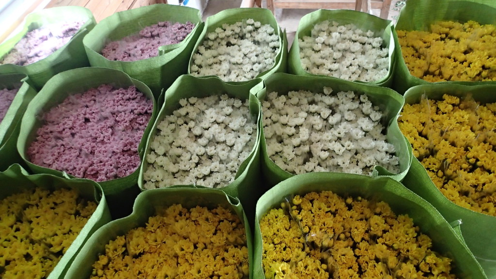 明日の朝箱詰めします。