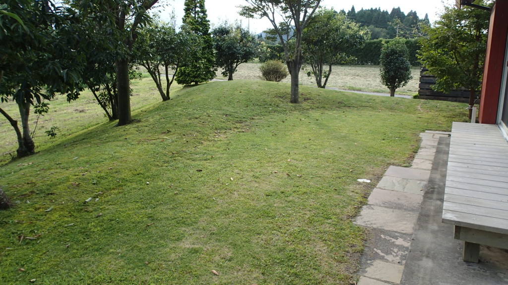 家の芝にも手が回ってきました。