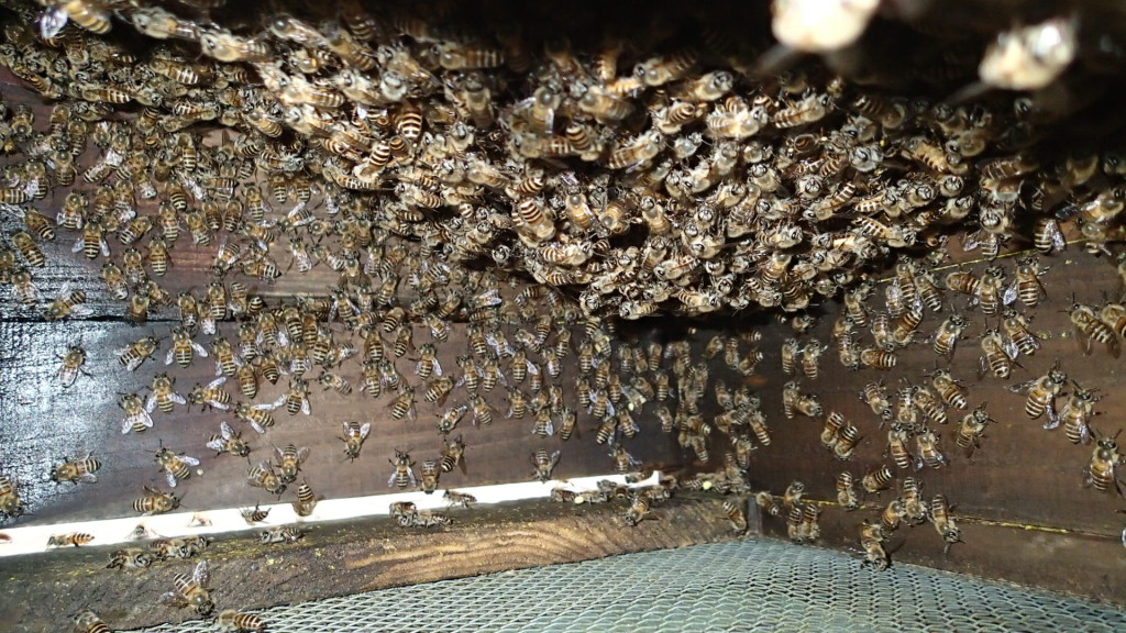 ここまできたら継箱OK