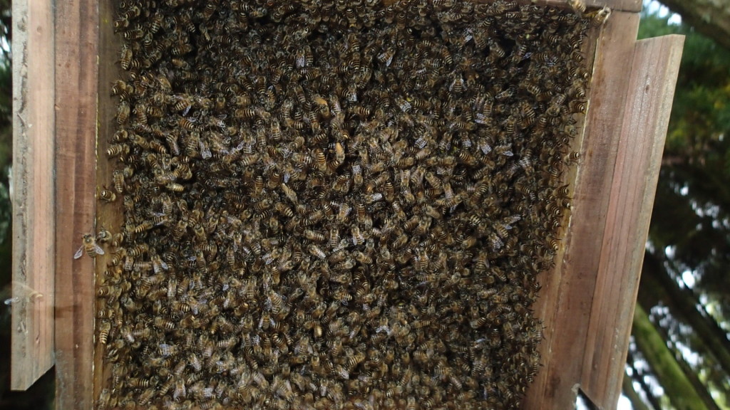 すぐにいっぱいになるでしょう！