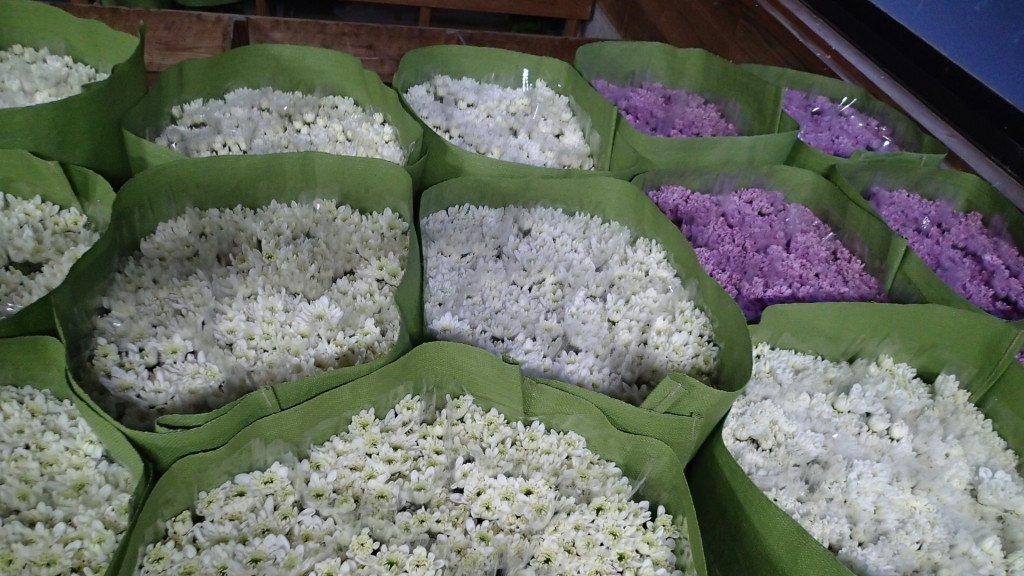 午前中に終わりました。