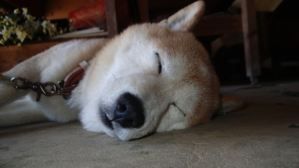 まったく気づきません！