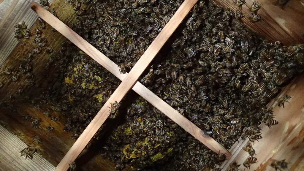 中はこんな感じです。