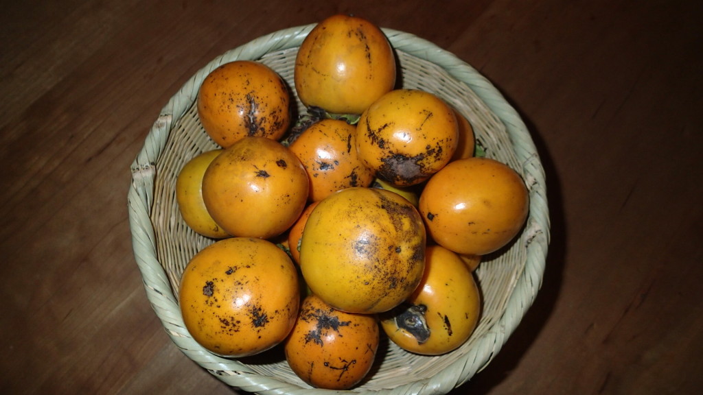 こんだけじゃないですよ！まだまだたくさんあります。