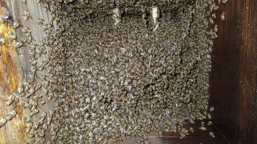 中はまだ余裕がありました。