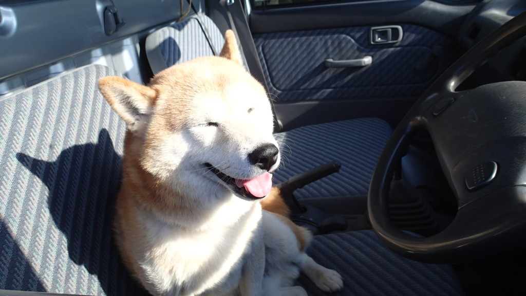 まずは運転席に座ります。