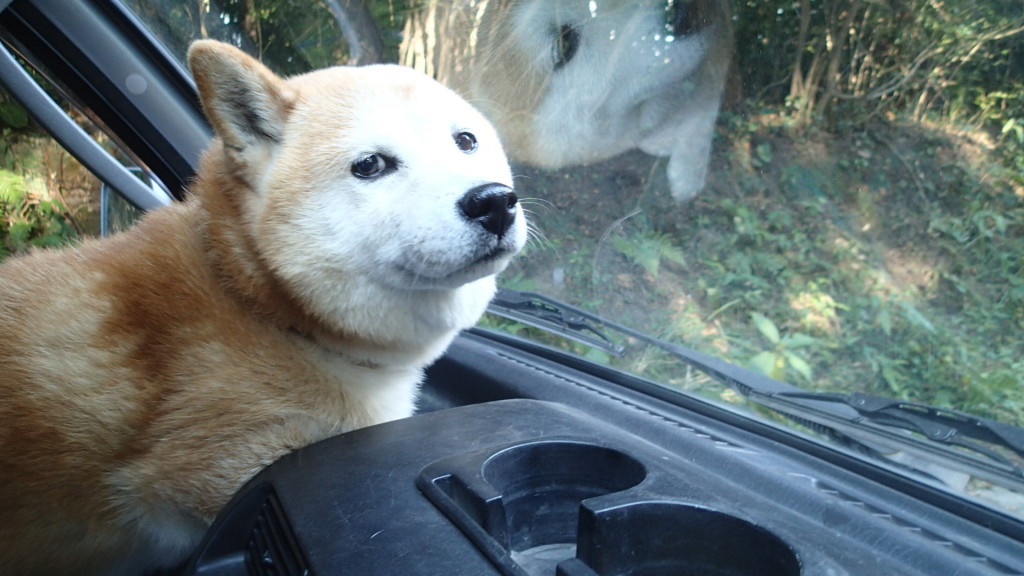 天気も良いし、最高だね！
