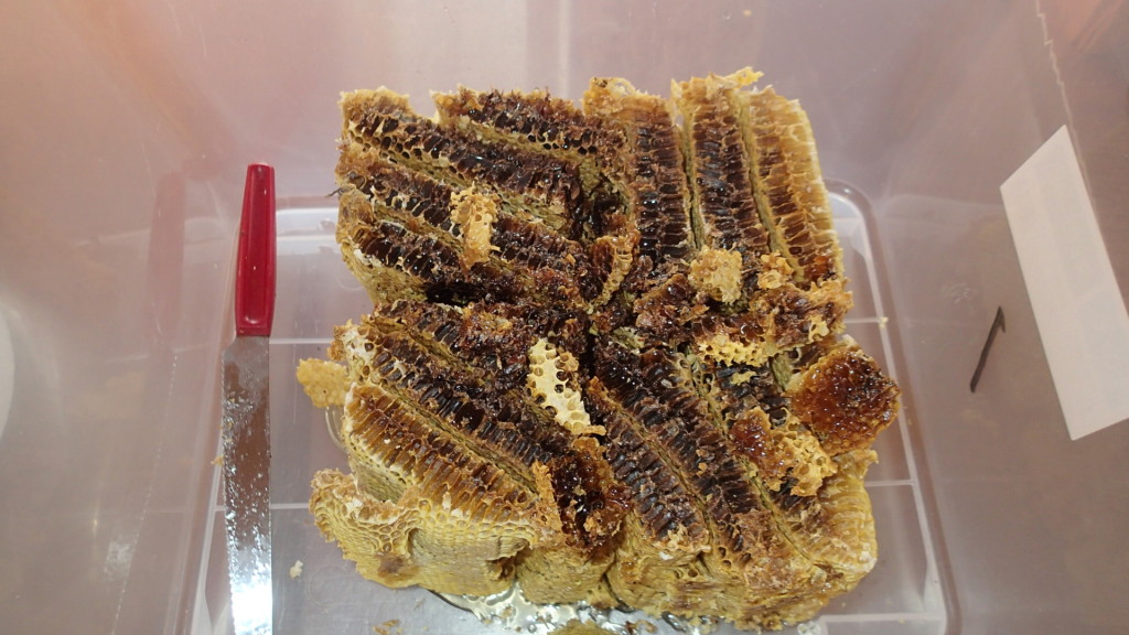 今までより透明かも？