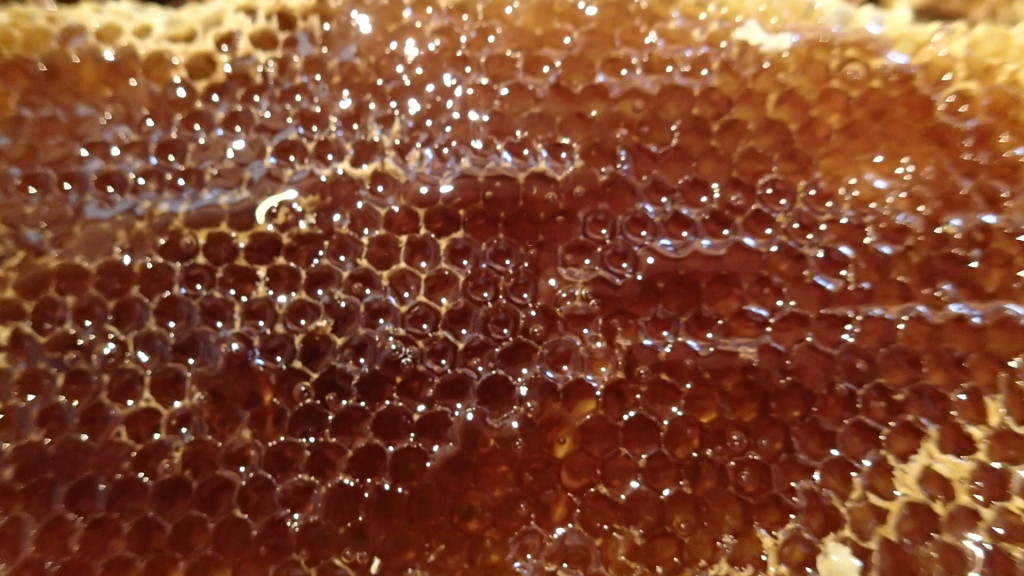 これ見るとみつばちってすごいなぁって思います。