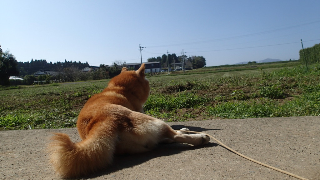 すっきり、よく見えるよ！