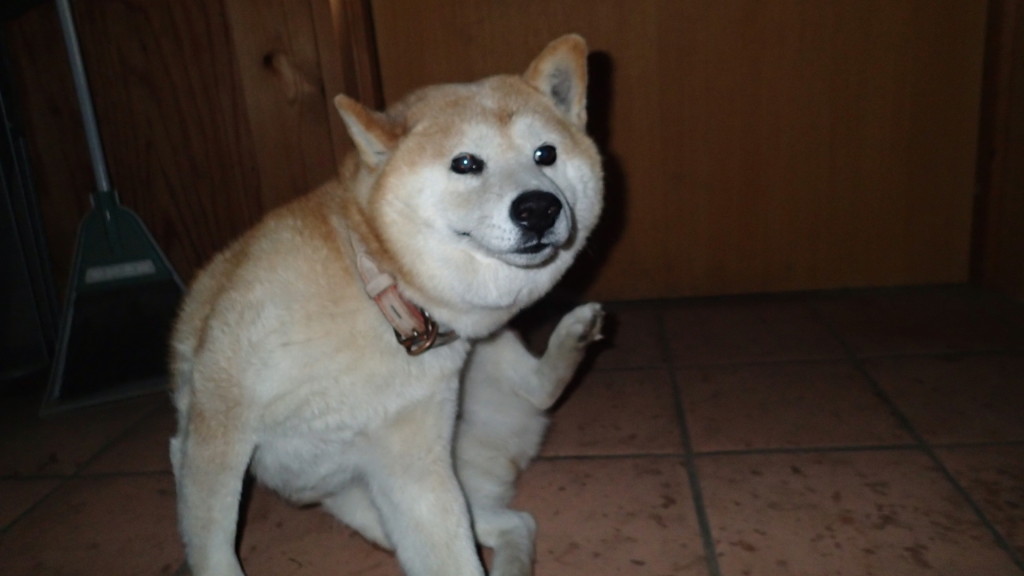 ん？、抱っこはまたね、