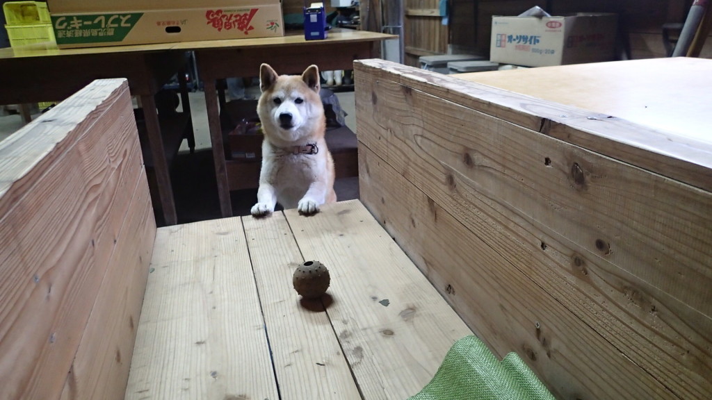 以前はピョンって飛び乗っていたけど・・・・。