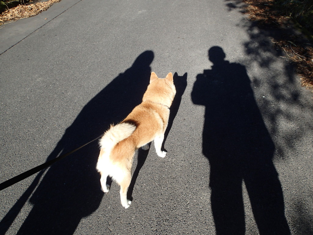 2016年の初散歩でした。