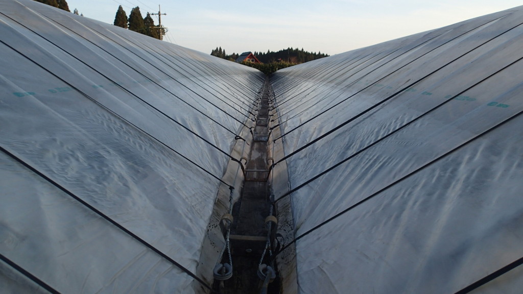 きれいになったんだけど、写真じゃわからないかな......