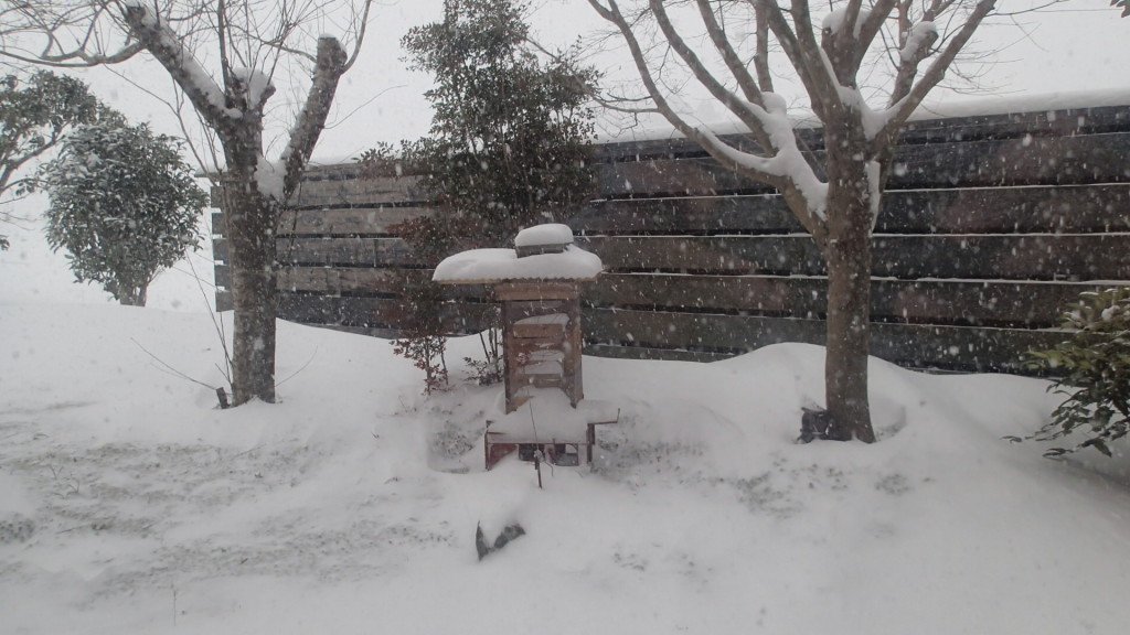 巣箱にも雪です。