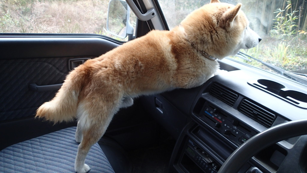 これがドライブの姿勢です。