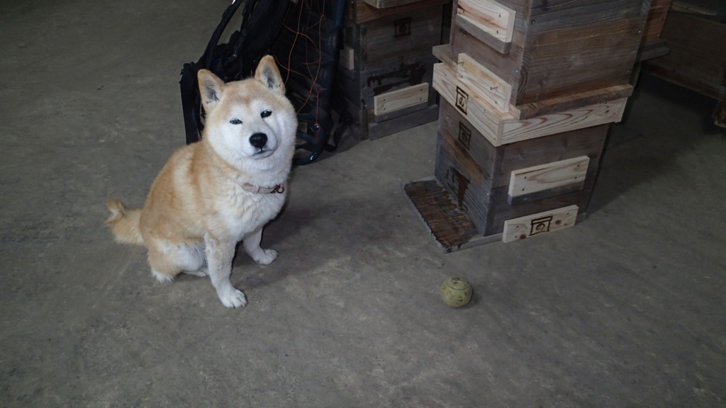 待つのも仕事です。